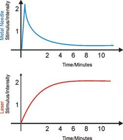 Laserstimulation versus Metallnadel