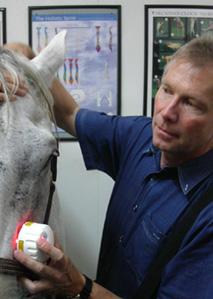 Dr. med. vet.Uwe Petermann Lasertherapie, RAC diagnosis, auriculo medicine, laser therapy