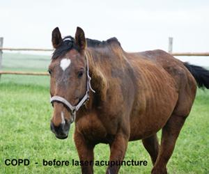 COB, COPD antes de la terapia de láser