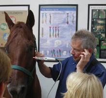 Reacción de pulso en las sienes, RAC, acupuntura controlada