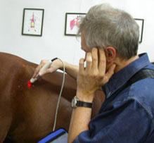 Reacción de pulso en las sienes, pulse controlled laser acupuncture
